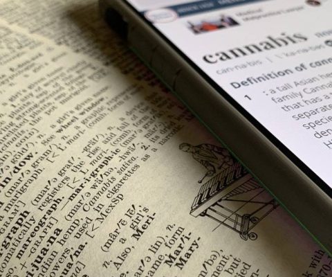 photo-1557982027-259e0e8ba7b4